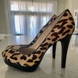 GORGEOUS Calvin Klein Leopard Pumps - Size 7
